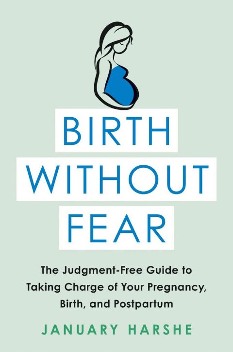 Birth Without Fear Written By January Harshe