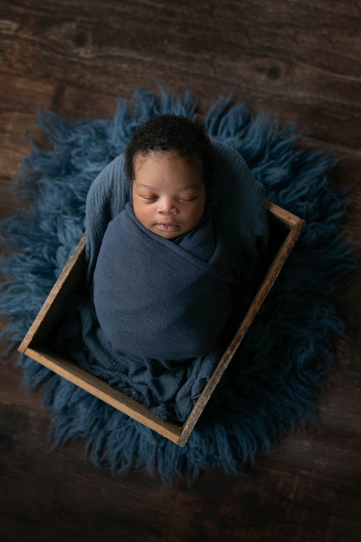 port royal newborn photography