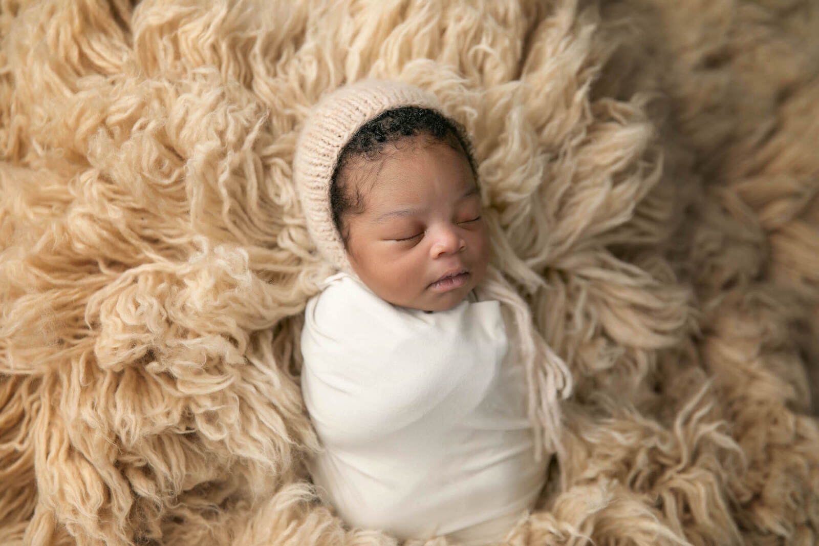 port royal newborn photography