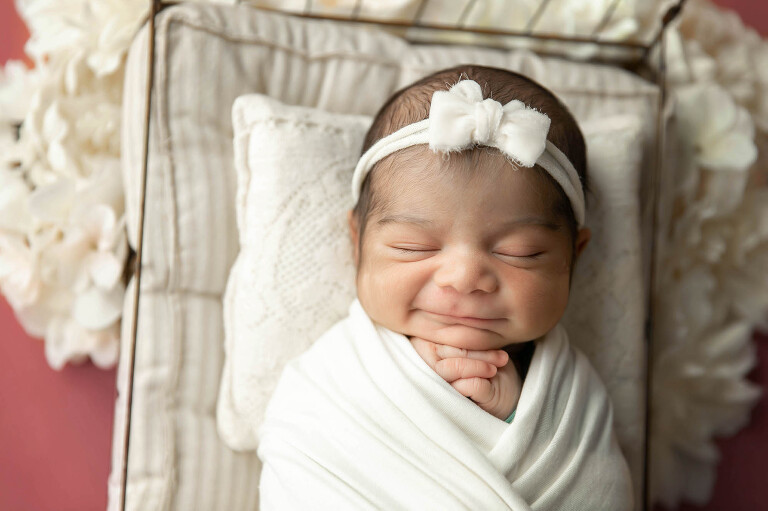 professional newborn photos
